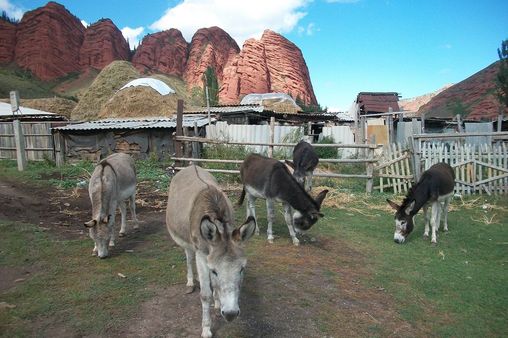 Seven Bulls Jeti Oguz in Kyrgyzstan